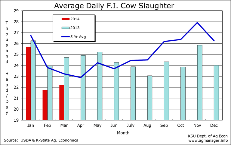 Average Daily Cow Slaughter | AgManager.info
